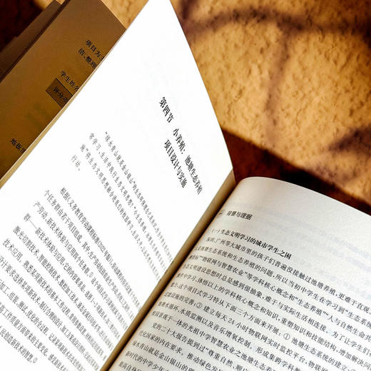 小切口课程设计 劳动教育的创意实施 中小学案例 商品图12