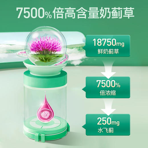 Herbsense贺柏圣澳洲进口奶蓟草护肝正品熬夜解酒精旰水飞蓟养肝 商品图2