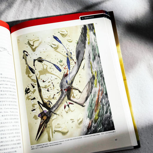 翼龙 自然史 演化 解剖学 史前生命丛书 科普读物 200幅精美插图 商品图11
