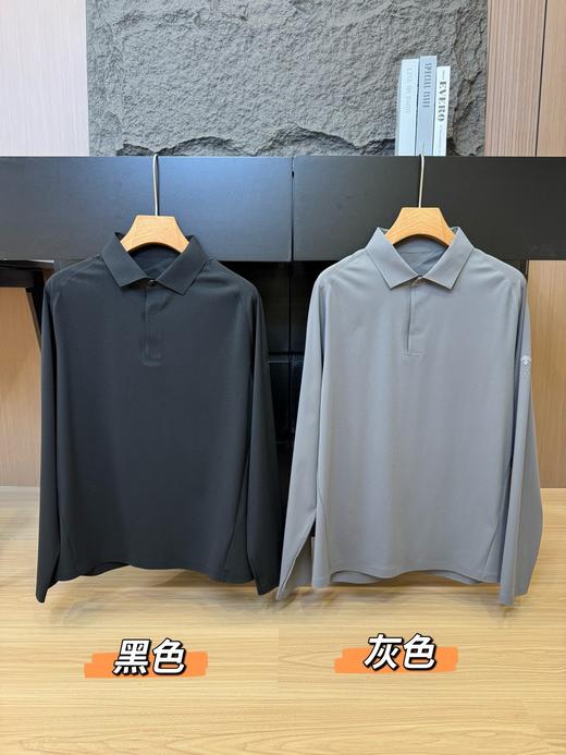 点此购买 迪桑特DUALIS都市通勤春秋季简约轻薄男款长袖POLO衫 ly 308502 商品图13