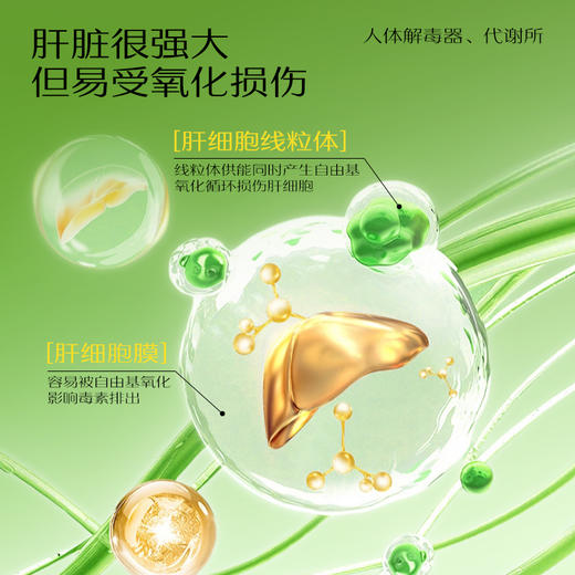 FLALIU水飞蓟养肝片双蓟养肝水飞蓟朝鲜蓟熬夜养肝原装进口 商品图1