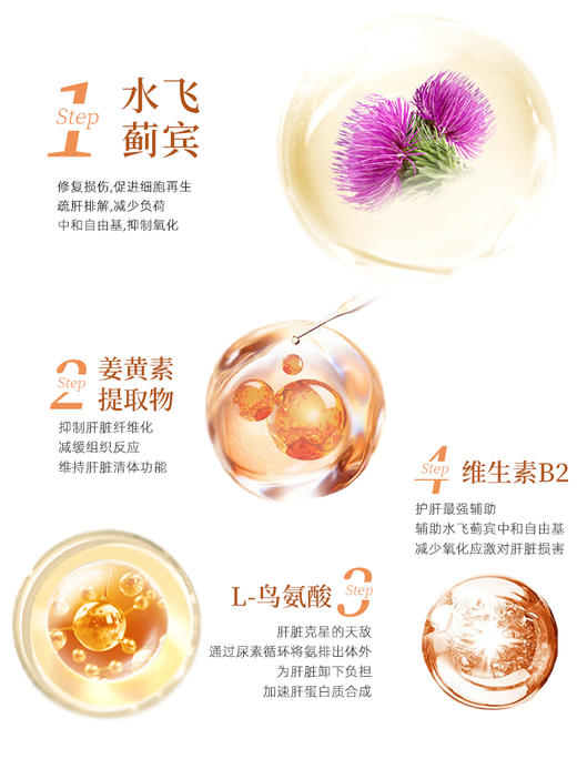 三浦制药DonCoo肝之宝奶蓟草水飞蓟熬夜男士女性养护肝片日本H 商品图2