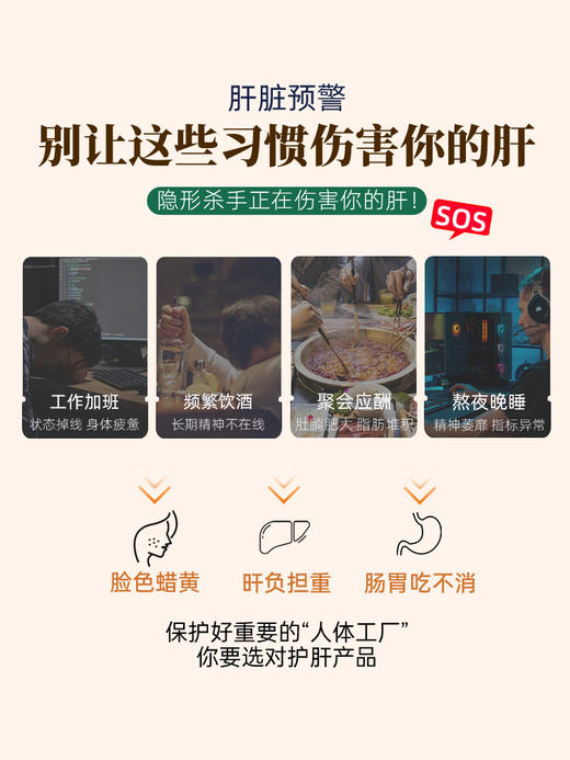 三浦制药DonCoo肝之宝奶蓟草水飞蓟熬夜男士女性养护肝片日本H 商品图1