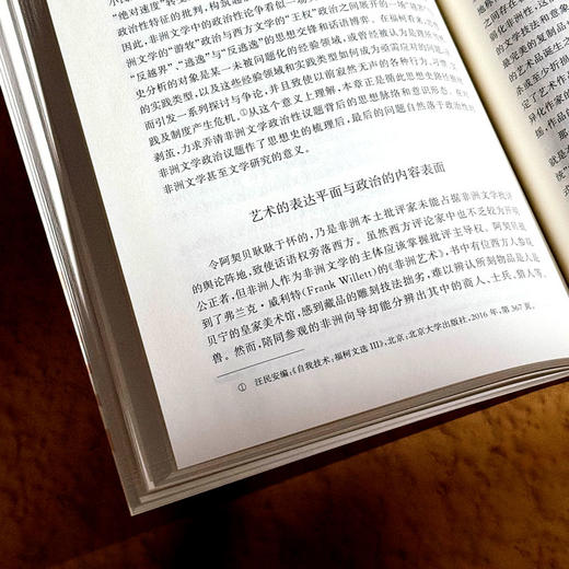 齐努阿·阿契贝 非洲小民族作家的解域实践 非洲文学研究 商品图10