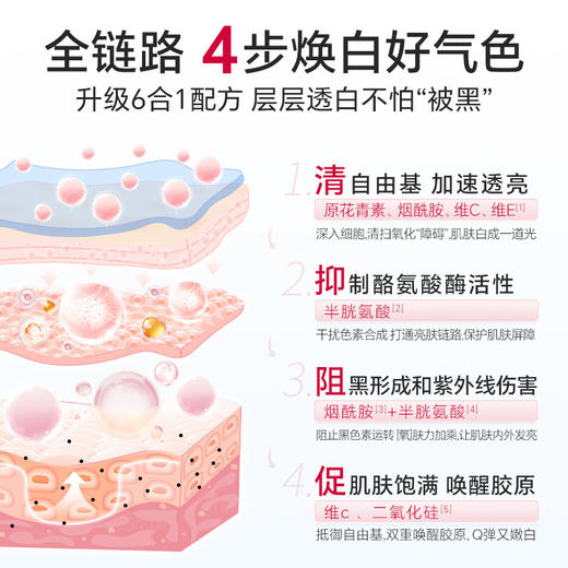 澳洲进口Youthit优思益 葡萄籽粉胶囊Opc原花青素VC女内服 2瓶 商品图2