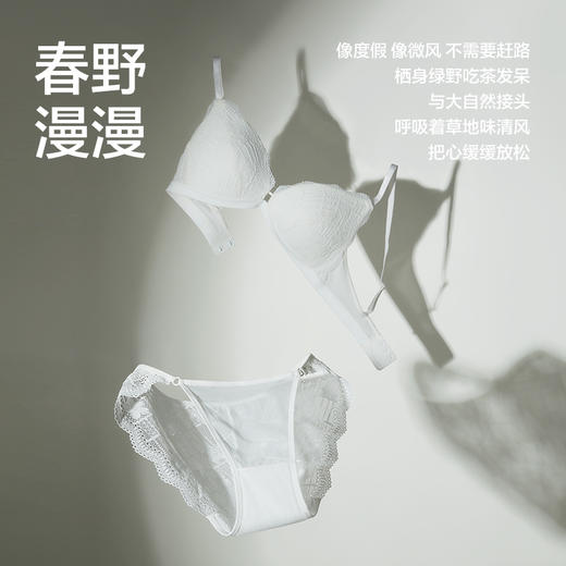 【新品上新】有棵树「3/4杯」性感法式聚拢蕾丝内衣文胸女-BB020 商品图1