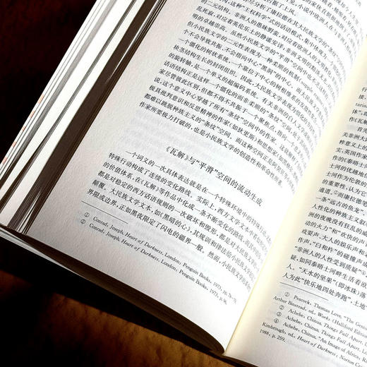 齐努阿·阿契贝 非洲小民族作家的解域实践 非洲文学研究 商品图9