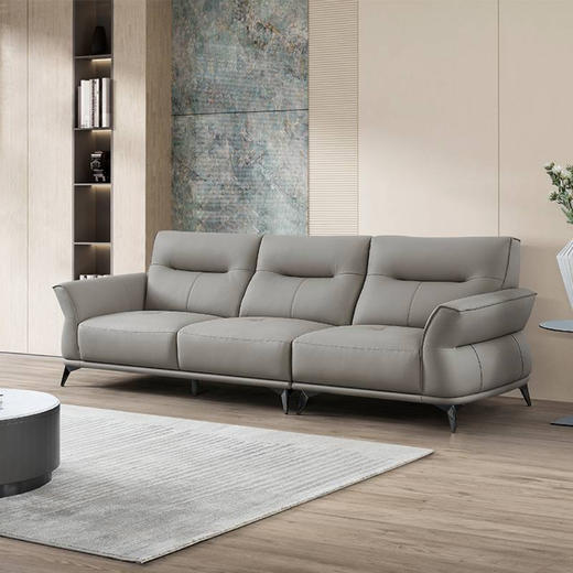 轻颜沙发/RAA5165 商品图1