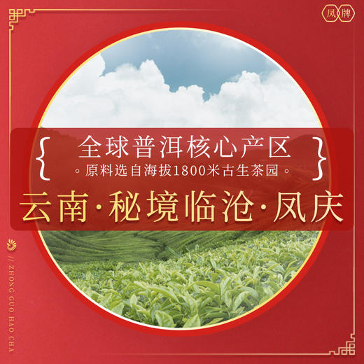 凤牌茶叶 云南普洱茶 甲级熟沱茶礼盒装100g*5 商品图2