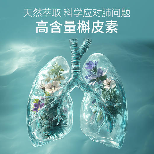 FLALIU槲皮素护肺胶囊肺部护理润肺养肺草本精华原装进口 商品图2