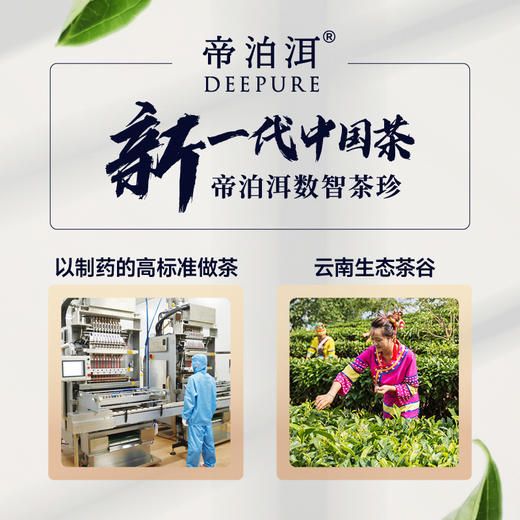 帝泊洱普洱茶珍-A股天士力医药集团出品【SGS308项农残未检出✓ 怕糖油脂喝帝泊洱普洱茶珍 】 商品图3