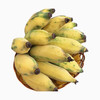 【分仓直发包邮】海南三亚野生土芭蕉5斤礼盒装 商品缩略图3