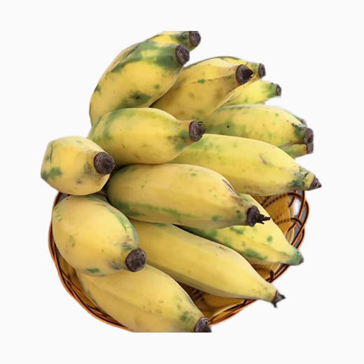 【分仓直发包邮】海南三亚野生土芭蕉5斤礼盒装 商品图3
