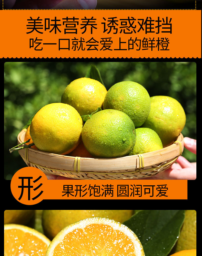 宜橙秭归夏橙绿皮新_08.jpg