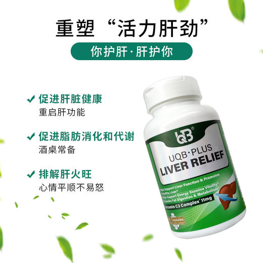 UQB肝宝胶囊进口护肝片水飞蓟护肝胶囊熬夜加班养肝护肝官方正品 商品图1