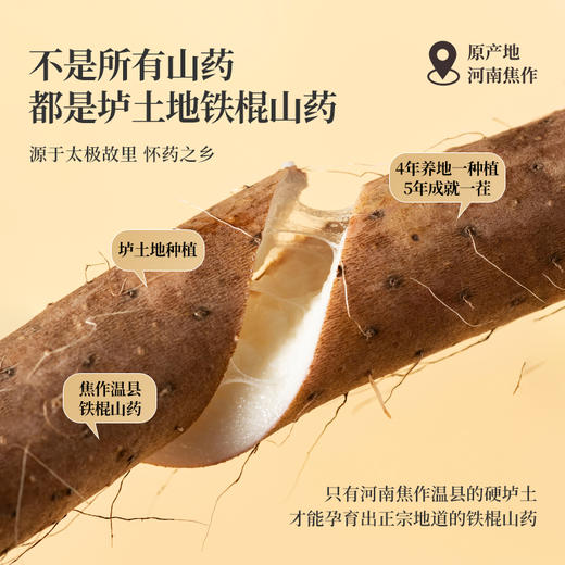 【199元3罐】滋仙草严选铁棍山药粉500g/罐 商品图2