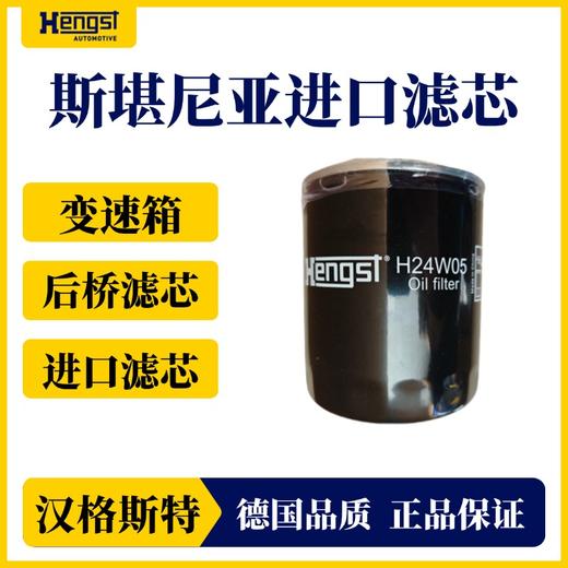 汉格斯特 进口斯堪尼亚变速箱后桥滤芯 专用滤芯 商品图0