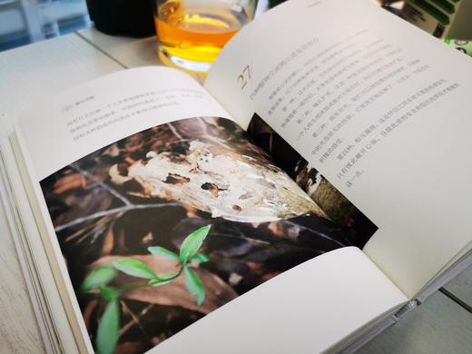 爱的觉醒 商品图5