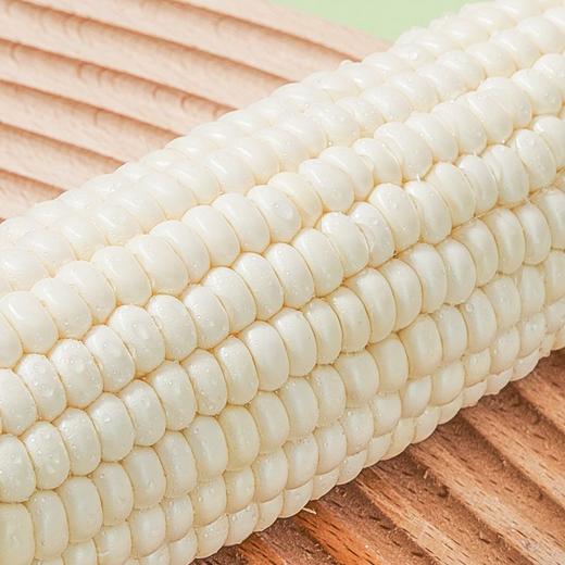 【顺丰包邮】冰糖牛奶水果玉米 可以生吃的玉米 3斤/4斤 家庭/彩箱装 商品图3