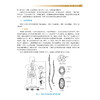临床寄生虫学检验 第5版 全国高等医药院校医学检验技术专业第五轮规划教材 吕志跃等编 供医学检验技术专业用 中国医药科技出版社 商品缩略图4