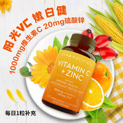 viva进口深海鱼油软胶囊180粒欧米伽维生素C维他命胶囊免疫力VC锌 商品图3