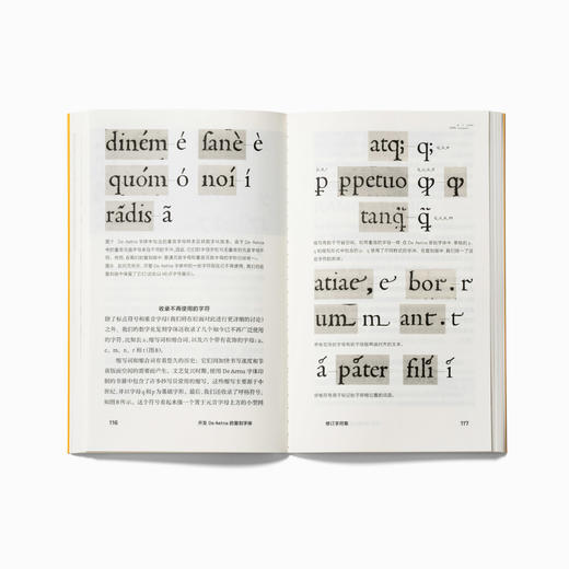 复刻字体设计：字体设计的历史学方法手册 商品图1