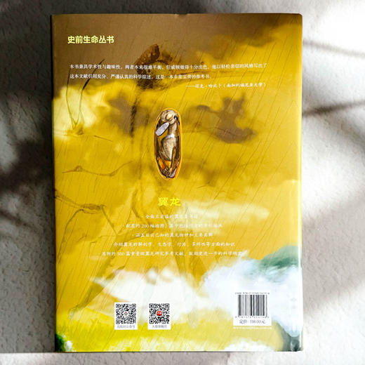 翼龙 自然史 演化 解剖学 史前生命丛书 科普读物 200幅精美插图 商品图2