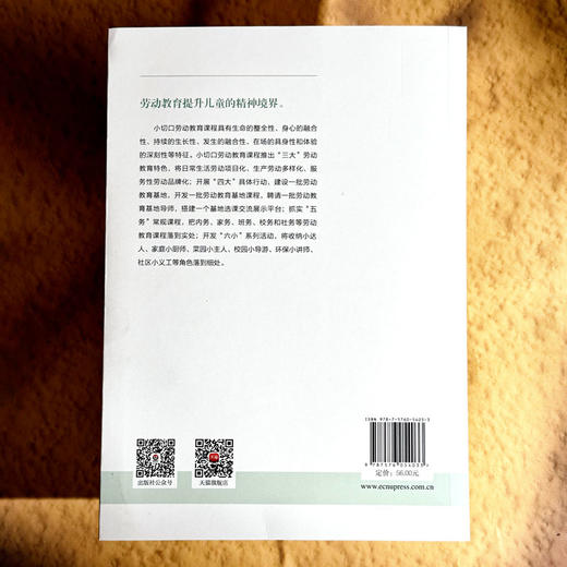 小切口课程设计 劳动教育的创意实施 中小学案例 商品图2