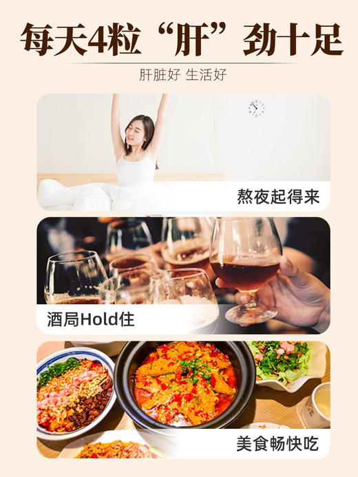 三浦制药DonCoo肝之宝奶蓟草水飞蓟熬夜男士女性养护肝片日本H 商品图3