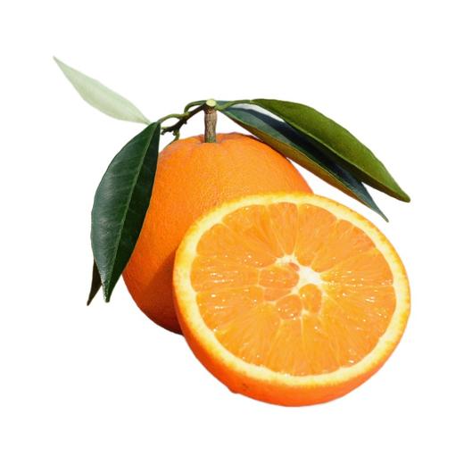 【果园直发❗️纽荷尔脐橙】当季新鲜，饱满果肉，口口爆汁！秭归脐橙现摘橙子时令水果整箱 商品图3