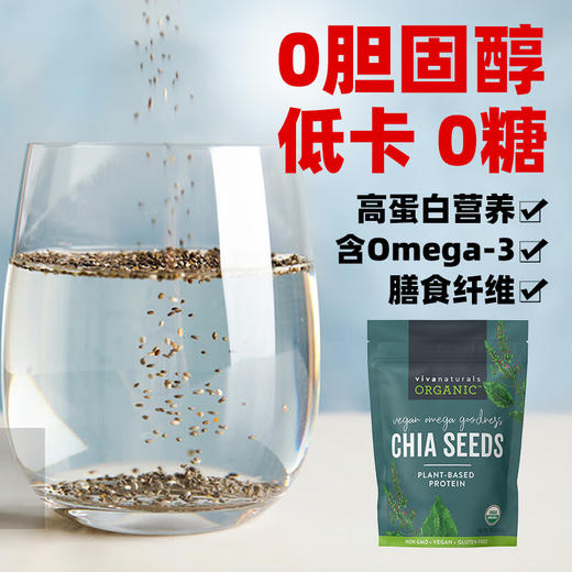 Viva美国原装进口天然有机墨西哥奇亚籽chia即食代餐饱腹冲饮454g 商品图4