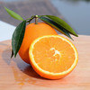 【果园直发❗️纽荷尔脐橙】当季新鲜，饱满果肉，口口爆汁！秭归脐橙现摘橙子时令水果整箱 商品缩略图0