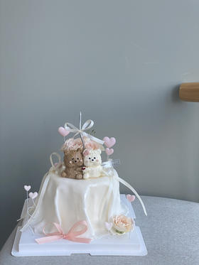 「女士」拥抱我最爱的宝宝 情人节 结婚 登记 周年纪念