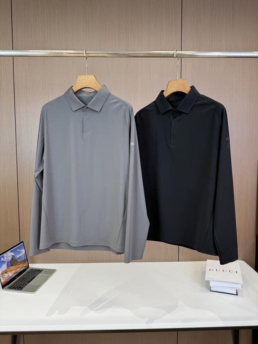 点此购买 迪桑特DUALIS都市通勤春秋季简约轻薄男款长袖POLO衫 ly 308502 商品图0