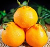四川眉山耙耙柑 - 5斤彩箱装【水果】ZB 商品缩略图6