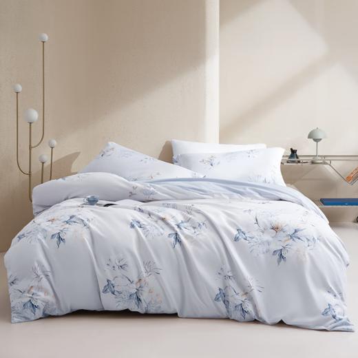 水星家纺抗菌磨毛四件套-意礼 商品图0