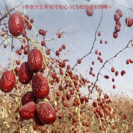 新疆特级原枣 AWJM 商品图2