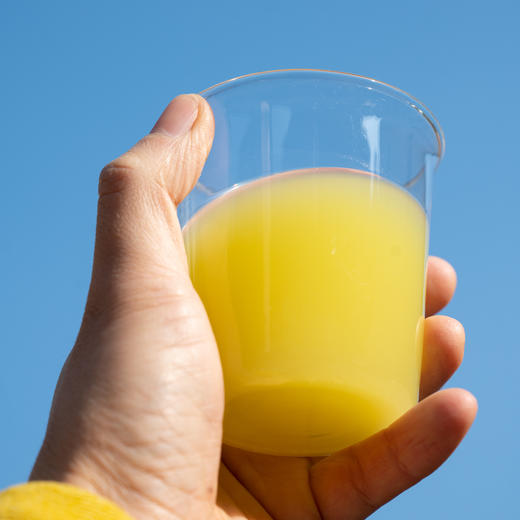 哈巴庄园高原苹果汁 商品图1