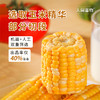 粮票|云南金银水果玉米段 脆嫩香甜 一咬爆汁 开袋即食（1000g/袋） 商品缩略图5