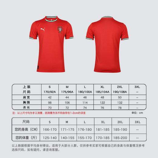 小李子PUMA彪马葡萄牙主场球迷版短袖球衣成人男款779190 01 商品图4