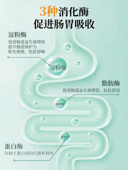 三浦制药DonCoo美体丸日本进口纤体美容果蔬植物酵素片清肠净体 商品图3