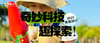 1日独立|奇妙科技趣探索：把科学课变成游乐园！带娃玩转硬核科技！ 商品缩略图0