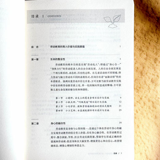 小切口课程设计 劳动教育的创意实施 中小学案例 商品图6