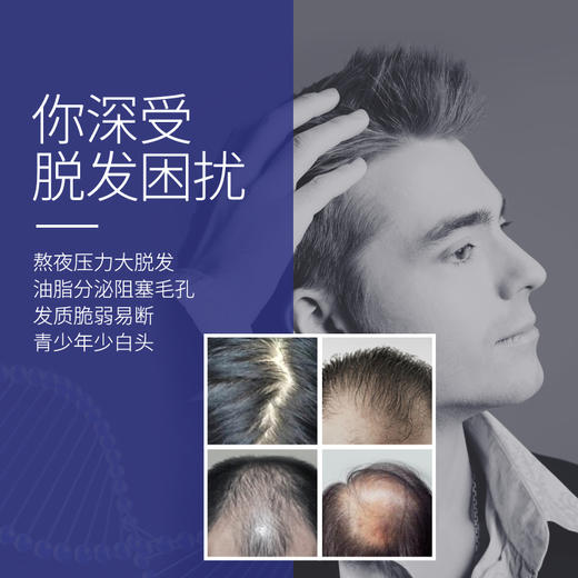 HS护发片2瓶Herbsense贺柏圣澳洲成人补锌维生素b6养护发滋补男女 商品图2