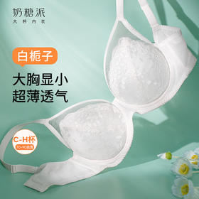 [白栀子]大胸显小全罩杯超薄文胸超薄聚拢承托防下垂内衣女