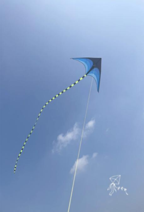 徽羚羊 云趣 草原风筝