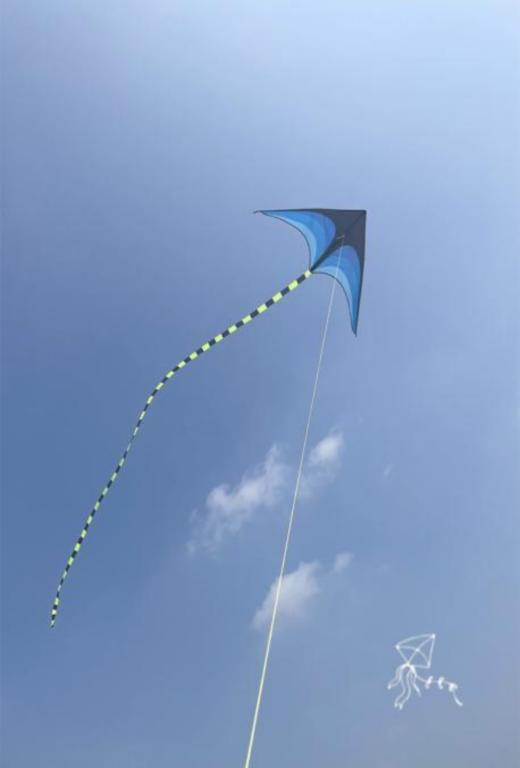 徽羚羊 云趣 草原风筝 商品图0