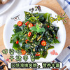 【干货 裙带菜】易泡发 可凉拌煮汤 商品缩略图5