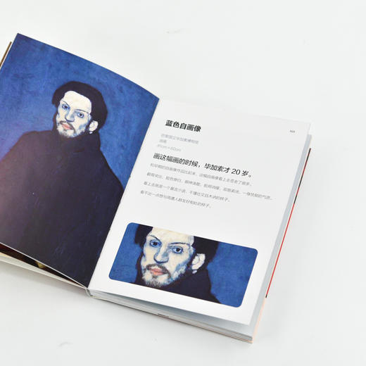 掌中艺术家 遇见毕加索 世界名画赏析画集画册西方艺术绘画作品西方艺术史 抽象派画作詹森艺术史 商品图3