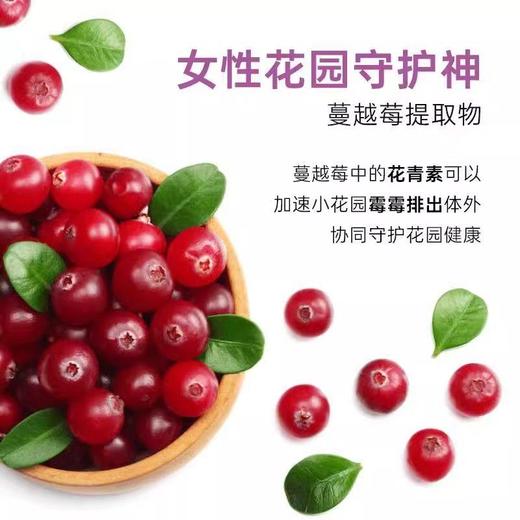 【2瓶】Nature'sTruth自然之珍益生菌蔓越莓胶囊美国女性40粒瓶 商品图3